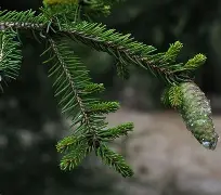 九游娱乐官网-c1212是什么